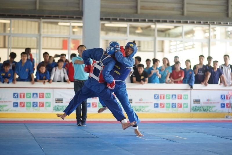 sinh viên, đại học FPT, miền Bắc, vovinam, võ thuật