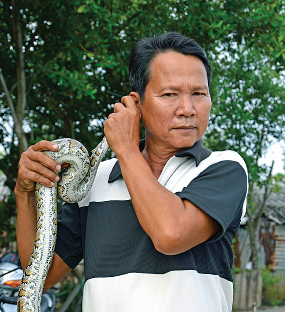 nông dân, trồng rau, rau sạch, cà chua, trồng nấm,