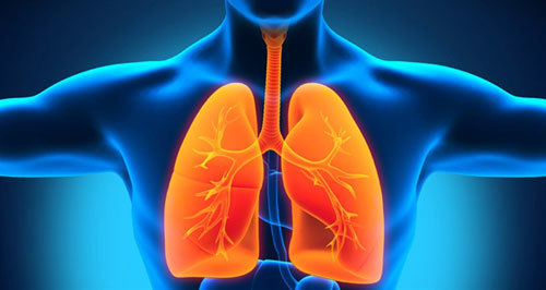 phổi,nguyên nhân gây bệnh phổi,điều trị bệnh phổi