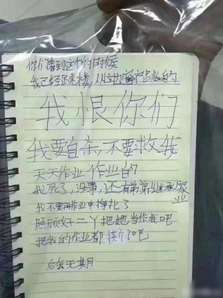 Bức thư tuyệt mệnh của bé gái Trung Quốc tự tử vì sức ép bài vở ảnh 1
