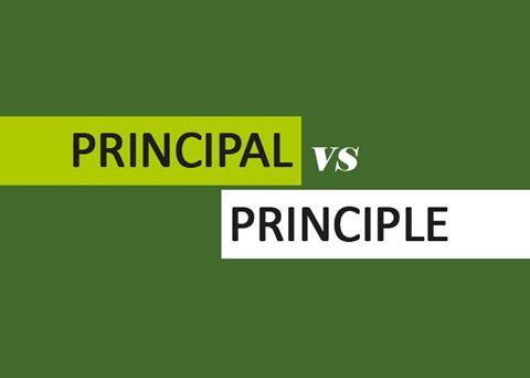 Phân biệt "principal" và "principle" 