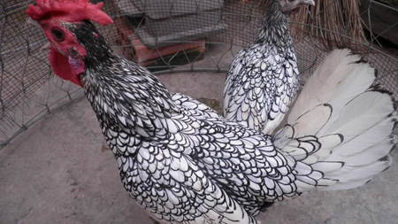 20130401093846-6.jpg