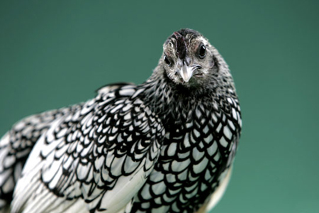 20130401093903-10.jpg