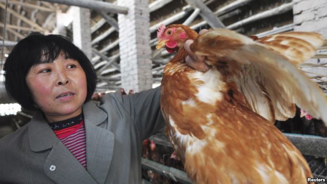 H7N9, cúm gia cầm, tử vong, trường hợp, phát hiện, Trung Quốc