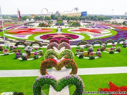 vườn hoa Dubai