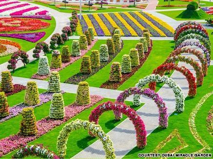 vườn hoa Dubai