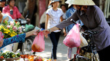 Việt Nam cấm sản xuất túi ni lông khó phân hủy