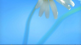 Nút Start trở lại trên Windows 8.1?