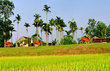 Đất quê