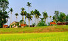 Đất quê