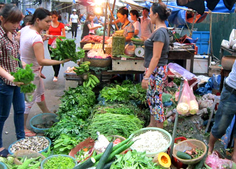 rau, trung quốc, nhập khẩu, mất an toàn