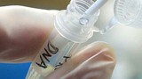 Công nghệ giải mã những cái chết bí ẩn