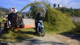Muốn qua đường phải chui qua làn rơm bụi