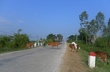 Trâu bò “diễu binh” trên quốc lộ 7