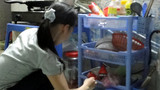 Kinh tế khó khăn “đánh gục” 2 bằng đại học