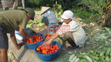 Cuộc sống bần hàn của “đại gia” từng một thời “lên xe xuống ngựa”