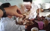 Chuyện công chức nhậu và 'con bò béo'