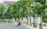 Tháng 8/2013, khai giảng trường mầm non Vinschool