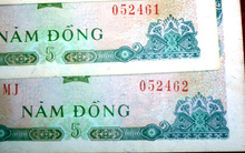 Tiền 5 đồng 'hết đát' có giá gần nửa triệu