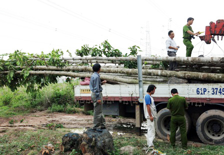 3 người liên quan đến ‘sự cố mất điện miền Nam’