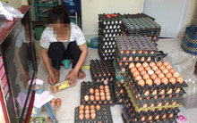 Trứng bẩn tràn ngập thị trường