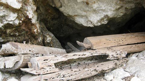 hang ma, Mộc Châu, Sơn La