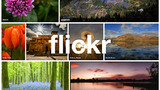 Người dùng Flickr: Chúng tôi ghét giao diện mới!