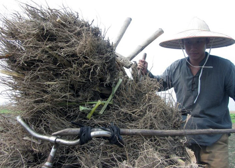 Trần Hùng John, John đi tìm Hùng, Việt Kiều, xuyên Việt, không mang tiền, người Việt, cứng đầu, thay đổi