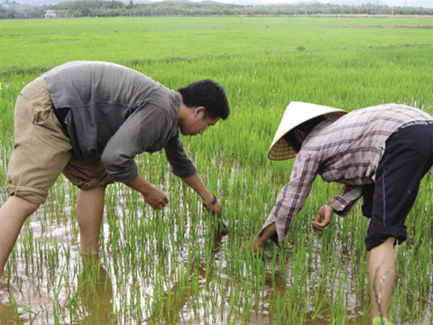 Trần Hùng John, John đi tìm Hùng, Việt Kiều, xuyên Việt, không mang tiền, người Việt, cứng đầu, thay đổi