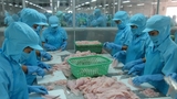 DN nội khó khăn, DN ngoại gây sức ép thâu tóm
