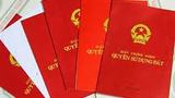 Mẹ mất, bố đơn phương cho con nhà được không?