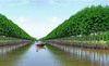 Tỉnh Cà Mau có thể biến mất trong vài thập kỷ tới?