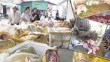 Nhập lậu cổ vịt bẩn bán cho hàng nhậu