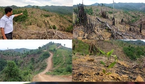 Đất rừng, xâm chiếm, ‘chính quyền non yếu’