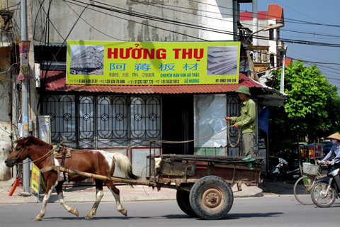 phố tàu, trung quốc, quảng cáo, biển hiệu