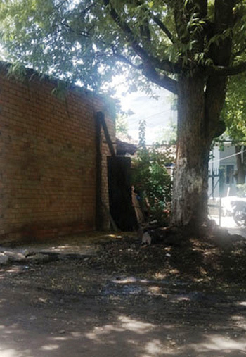 trúng số, Phú Yên, hậu vận, thê thảm, độc đắc trúng số, Phú Yên, hậu vận, thê thảm, độc đắc