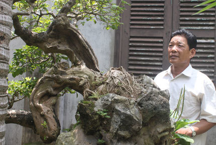 Phù Đổng, Gia Lâm , Nam Định , Thánh Gióng , Hà Nội , Pháp , Hà Phương , khiếp sợ , tỷ phú , Làm vườn