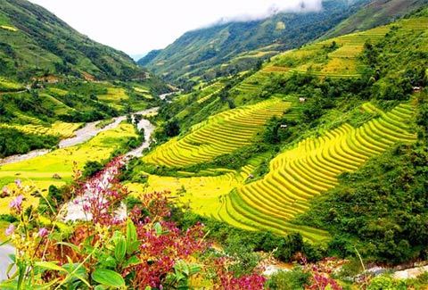 du lịch, mùa thu, sapa, đà lạt, phú quốc