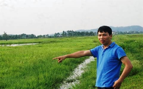 đất nông nghiệp, bỏ hoang, cỏ dại, nông dân, công nhân may, Thanh Hóa