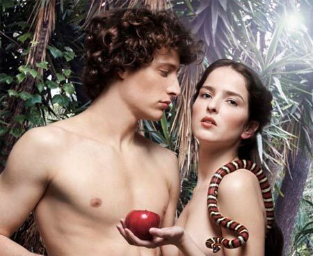 Adam và Eve, con người, dương vật, cậu nhỏ, không xương, baculum, động vật linh trưởng, tiến hóa