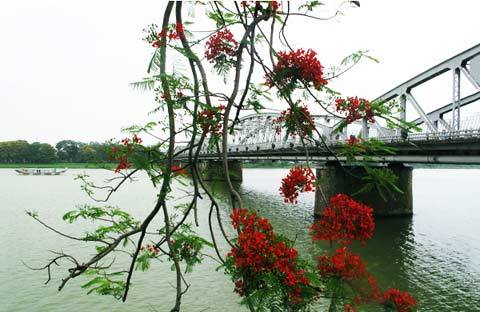 du lịch, nha trang, mũi né, phú quốc, huế, hội an, hạ long