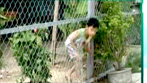 Thời sự trong ngày: 'Điểm nóng' Mr. Đàm