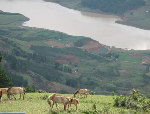 Lang Biang, Đà Lạt, cao nguyên