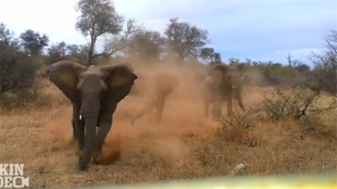 Khoa học tuần qua: Cô gái muốn sex với 100.000 đàn ông