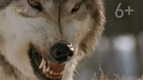 Khoa học tuần qua: Cô gái muốn sex với 100.000 đàn ông