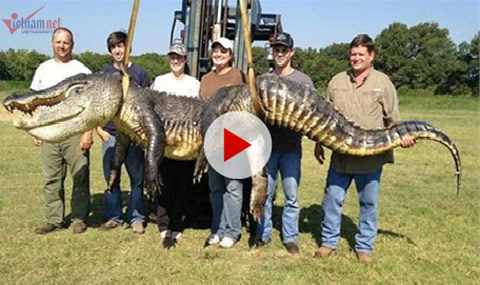 Khoa học tuần qua: Cô gái muốn sex với 100.000 đàn ông