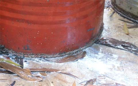 [Image: 20130914143947-thuoc-1.jpg]