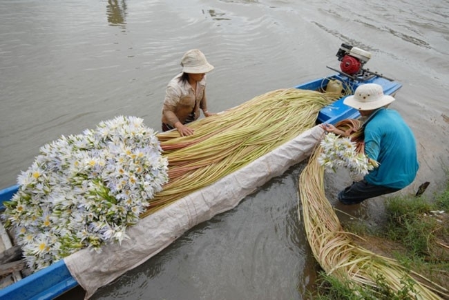 tương ớt, nem, cân điêu, mắm cá, cốt dừa, ống hút