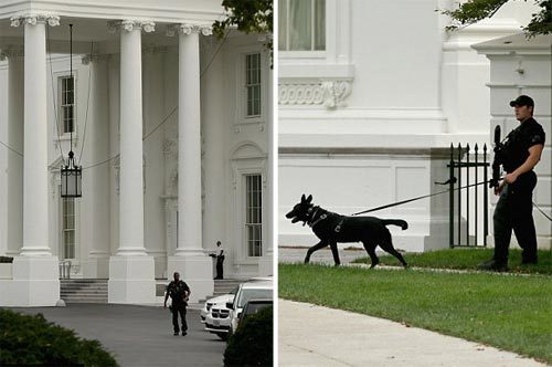Mỹ, Nhà Trắng, an ninh, rượt đuổi, quái xế, Miriam Carey