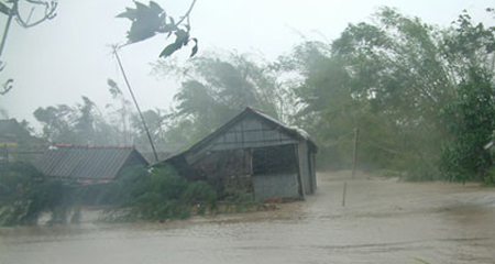 bão số 11, tâm bão, Đà Nẵng